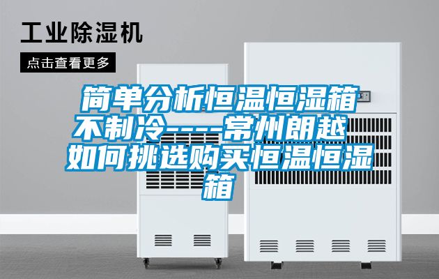 簡(jiǎn)單分析恒溫恒濕箱不制冷----常州朗越 如何挑選購(gòu)買恒溫恒濕箱