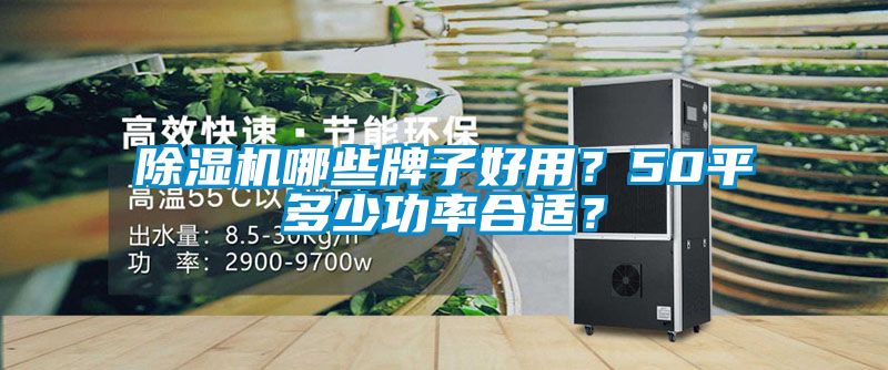 除濕機(jī)哪些牌子好用？50平多少功率合適？