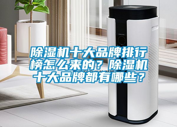 除濕機十大品牌排行榜怎么來的？除濕機十大品牌都有哪些？