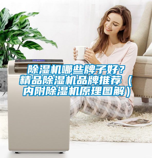 除濕機(jī)哪些牌子好？精品除濕機(jī)品牌推薦（內(nèi)附除濕機(jī)原理圖解）