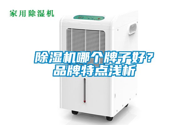 除濕機(jī)哪個牌子好？品牌特點(diǎn)淺析