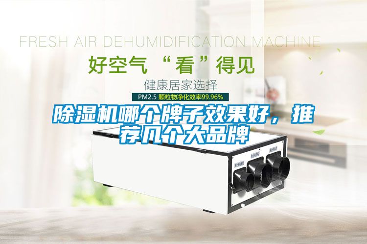 除濕機哪個牌子效果好，推薦幾個大品牌