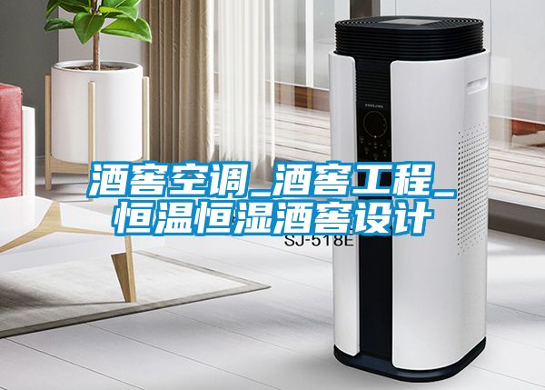 酒窖空調(diào)_酒窖工程_恒溫恒濕酒窖設(shè)計