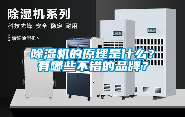 除濕機的原理是什么？有哪些不錯的品牌？
