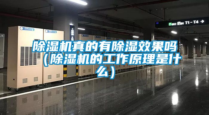 除濕機(jī)真的有除濕效果嗎（除濕機(jī)的工作原理是什么）