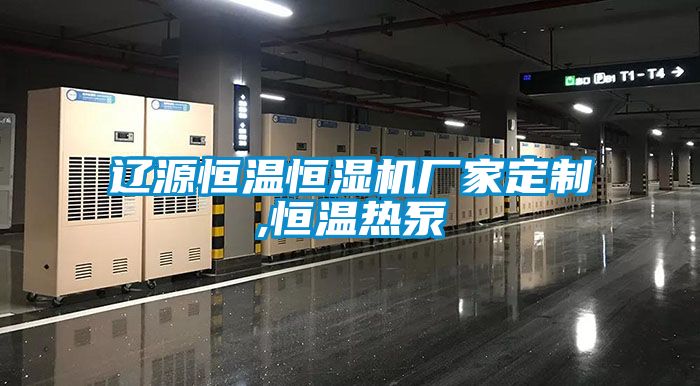 遼源恒溫恒濕機廠家定制,恒溫熱泵