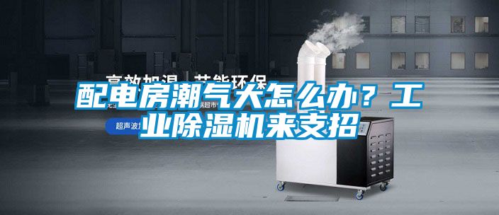 配電房潮氣大怎么辦？工業(yè)除濕機(jī)來(lái)支招