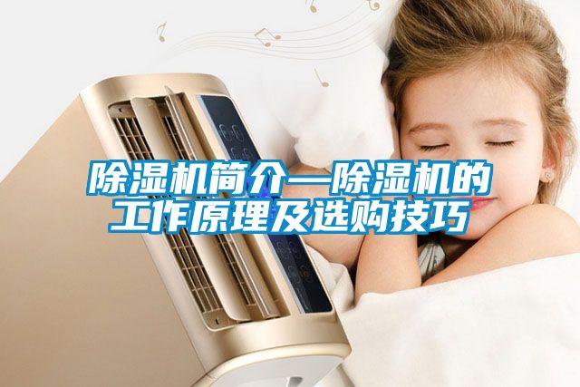 除濕機簡介—除濕機的工作原理及選購技巧