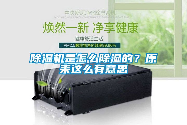 除濕機是怎么除濕的？原來這么有意思