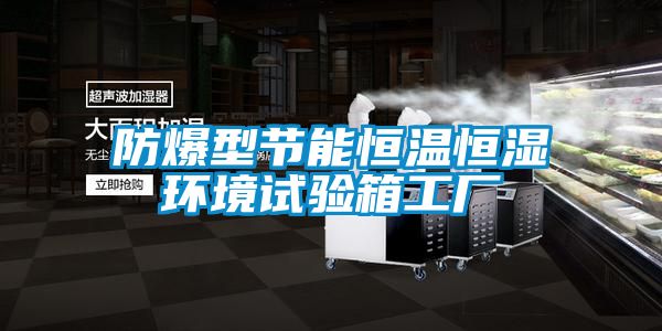 防爆型節能恒溫恒濕環境試驗箱工廠