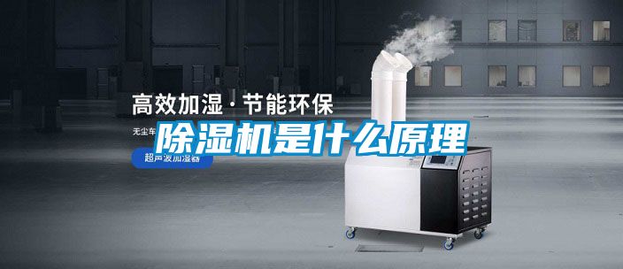 除濕機(jī)是什么原理