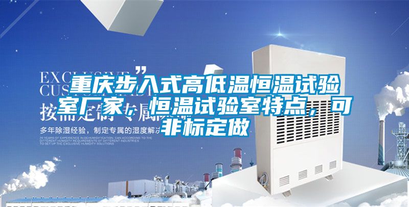 重慶步入式高低溫恒溫試驗(yàn)室廠家，恒溫試驗(yàn)室特點(diǎn)，可非標(biāo)定做