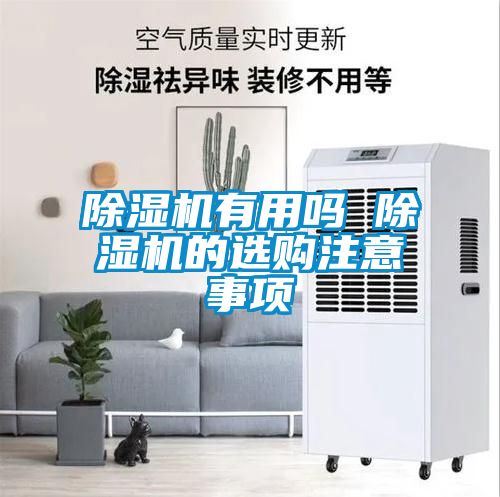 除濕機(jī)有用嗎 除濕機(jī)的選購(gòu)注意事項(xiàng)