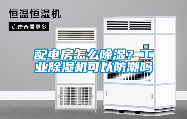 配電房怎么除濕？工業(yè)除濕機可以防潮嗎