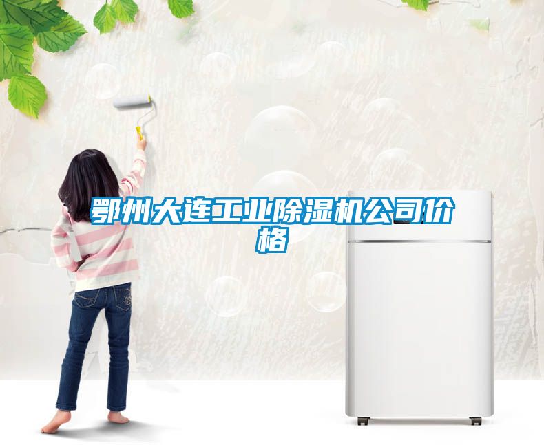 鄂州大連工業除濕機公司價格
