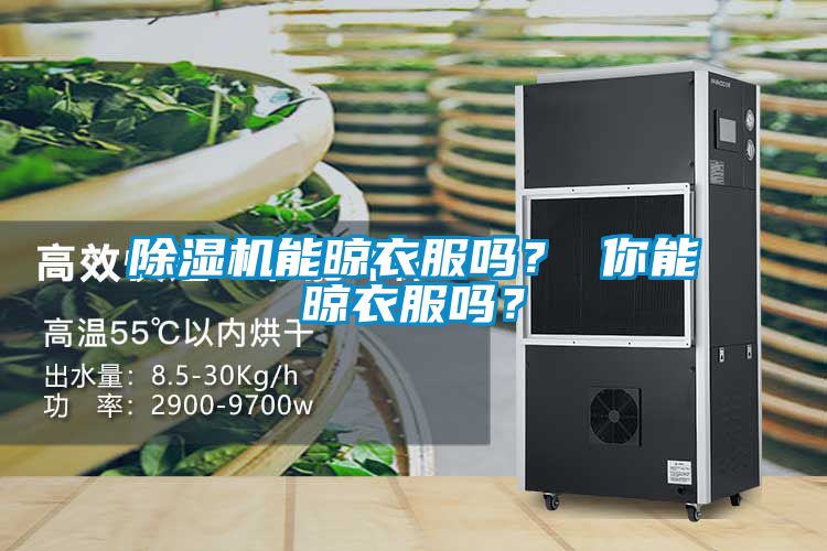 除濕機能晾衣服嗎？ 你能晾衣服嗎？