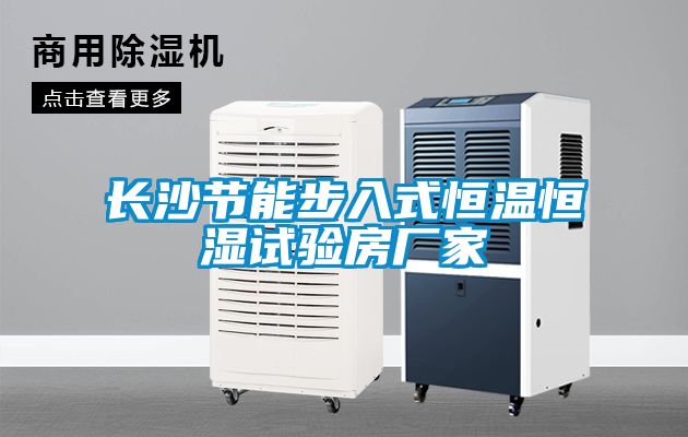 長沙節能步入式恒溫恒濕試驗房廠家