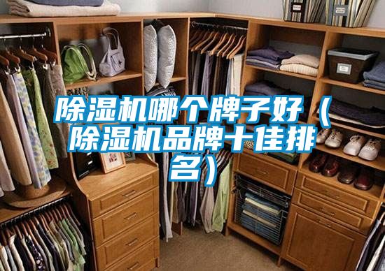 除濕機哪個牌子好（除濕機品牌十佳排名）