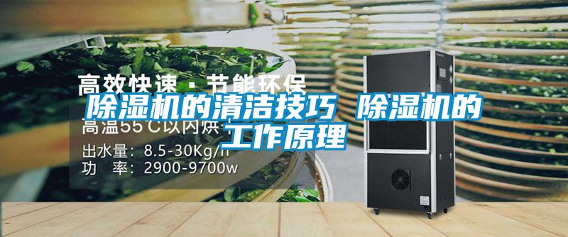 除濕機(jī)的清潔技巧 除濕機(jī)的工作原理