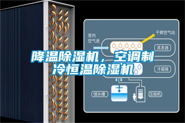 降溫除濕機，空調(diào)制冷恒溫除濕機