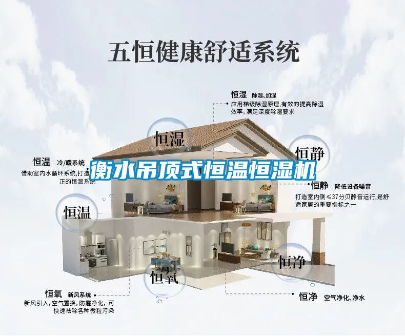 衡水吊頂式恒溫恒濕機(jī)