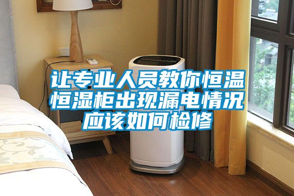 讓專業人員教你恒溫恒濕柜出現漏電情況應該如何檢修