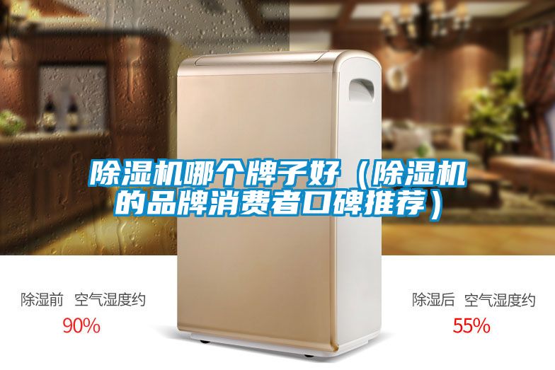 除濕機(jī)哪個(gè)牌子好（除濕機(jī)的品牌消費(fèi)者口碑推薦）
