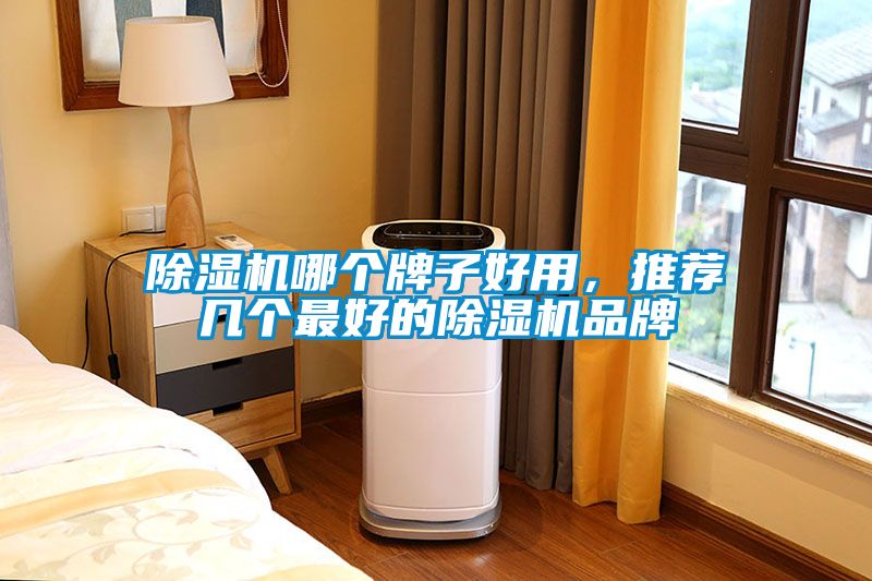 除濕機哪個牌子好用，推薦幾個最好的除濕機品牌
