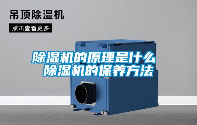 除濕機的原理是什么 除濕機的保養(yǎng)方法