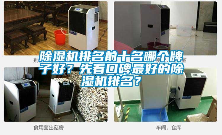 除濕機排名前十名哪個牌子好？先看口碑最好的除濕機排名？