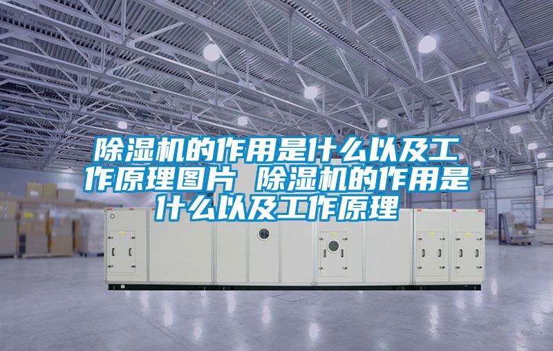 除濕機(jī)的作用是什么以及工作原理圖片 除濕機(jī)的作用是什么以及工作原理