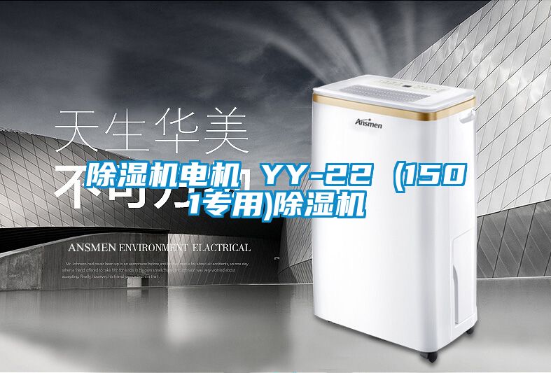 除濕機(jī)電機(jī) YY-22 (1501專用)除濕機(jī)