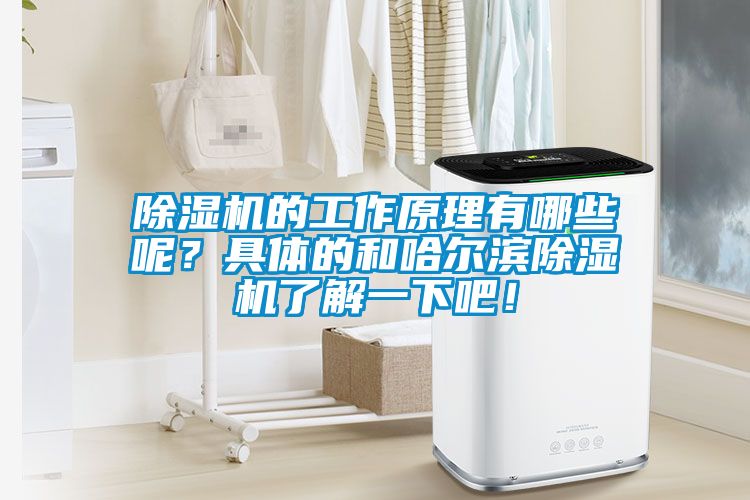 除濕機的工作原理有哪些呢？具體的和哈爾濱除濕機了解一下吧！
