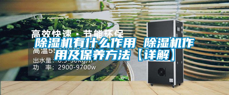 除濕機(jī)有什么作用 除濕機(jī)作用及保養(yǎng)方法【詳解】