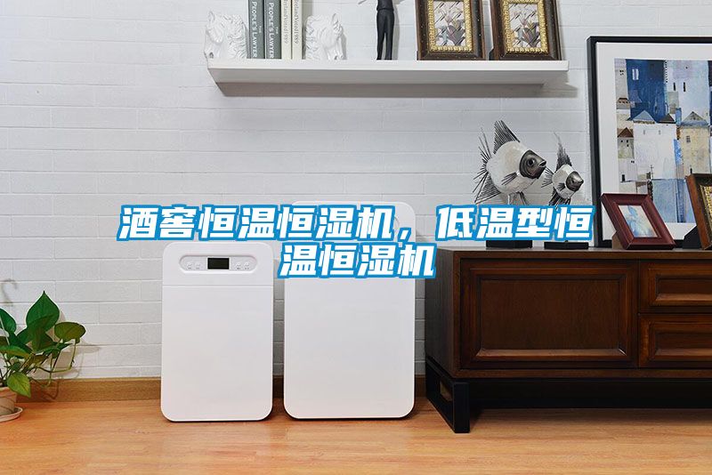酒窖恒溫恒濕機，低溫型恒溫恒濕機