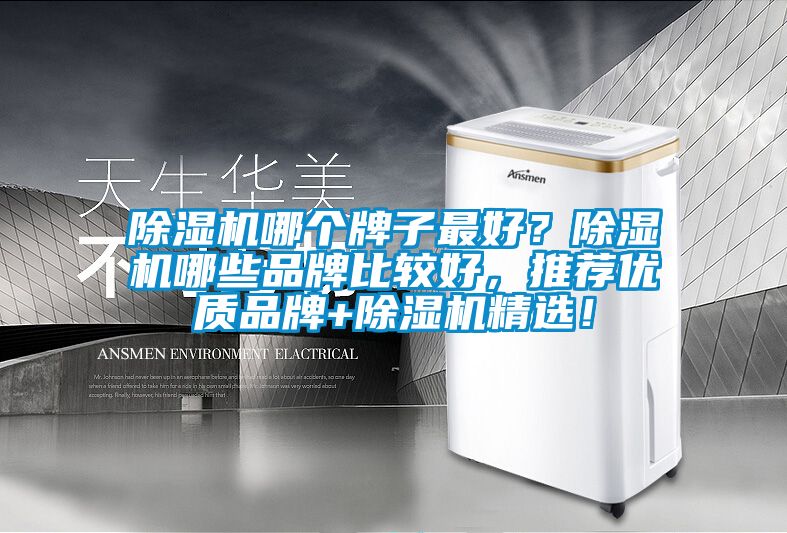 除濕機哪個牌子最好？除濕機哪些品牌比較好，推薦優質品牌+除濕機精選！