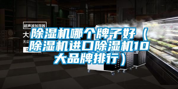除濕機哪個牌子好（除濕機進口除濕機10大品牌排行）