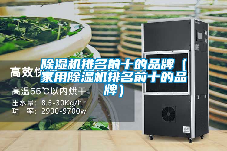 除濕機(jī)排名前十的品牌（家用除濕機(jī)排名前十的品牌）