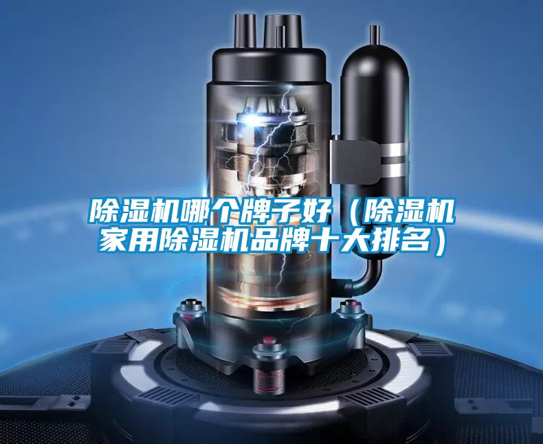 除濕機(jī)哪個(gè)牌子好（除濕機(jī)家用除濕機(jī)品牌十大排名）