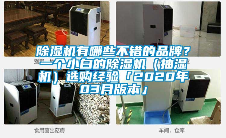 除濕機有哪些不錯的品牌？一個小白的除濕機（抽濕機）選購經驗「2020年03月版本」