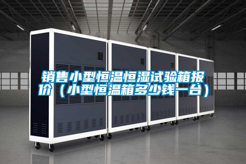 銷售小型恒溫恒濕試驗(yàn)箱報(bào)價(jià)（小型恒溫箱多少錢(qián)一臺(tái)）