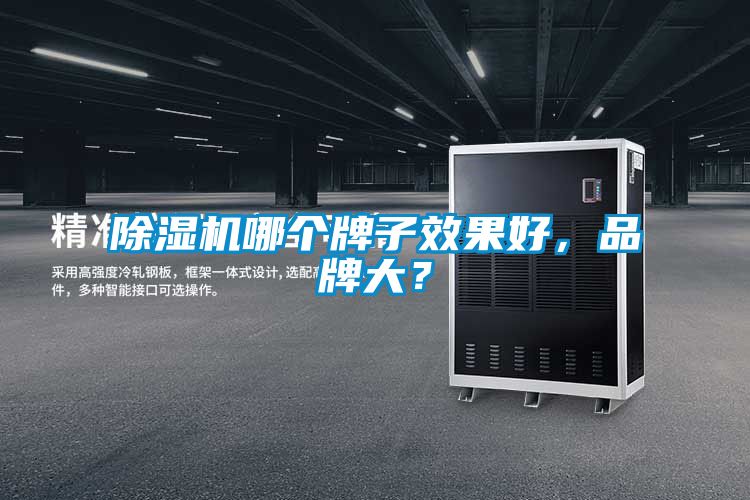 除濕機(jī)哪個(gè)牌子效果好，品牌大？