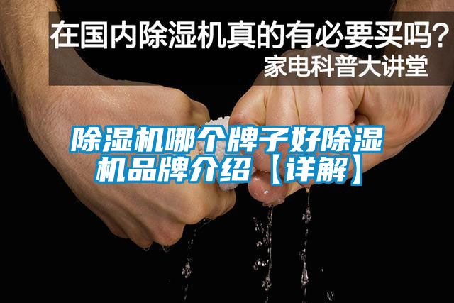 除濕機(jī)哪個(gè)牌子好除濕機(jī)品牌介紹【詳解】