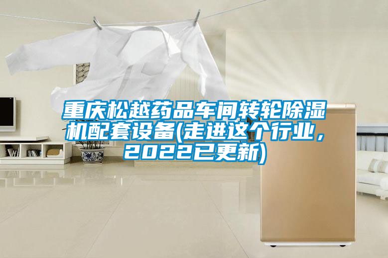 重慶松越藥品車間轉輪除濕機配套設備(走進這個行業，2022已更新)