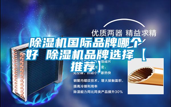 除濕機(jī)國際品牌哪個(gè)好 除濕機(jī)品牌選擇【推薦】
