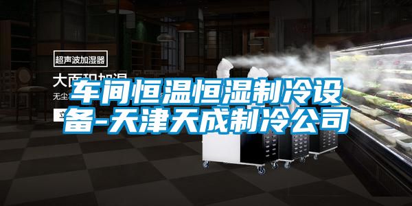 車間恒溫恒濕制冷設備-天津天成制冷公司