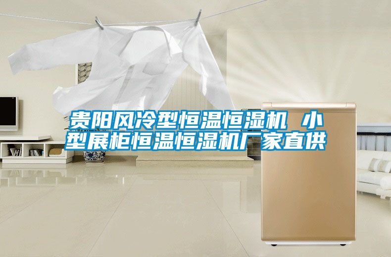 貴陽(yáng)風(fēng)冷型恒溫恒濕機(jī) 小型展柜恒溫恒濕機(jī)廠(chǎng)家直供