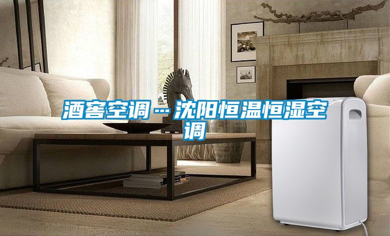 酒窖空調(diào)…沈陽恒溫恒濕空調(diào)