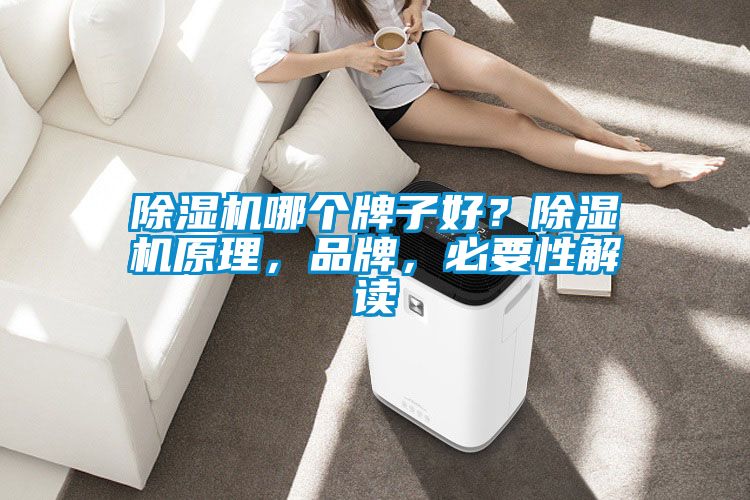 除濕機(jī)哪個(gè)牌子好？除濕機(jī)原理，品牌，必要性解讀