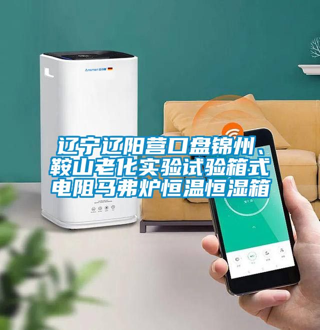 遼寧遼陽營口盤錦州、鞍山老化實(shí)驗(yàn)試驗(yàn)箱式電阻馬弗爐恒溫恒濕箱